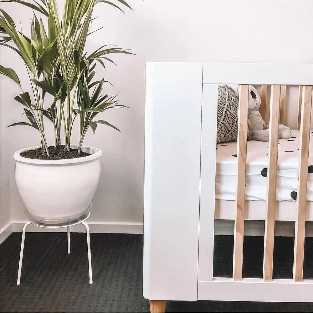 Cocoon Evoke 4 in 1 Cot   Mattress