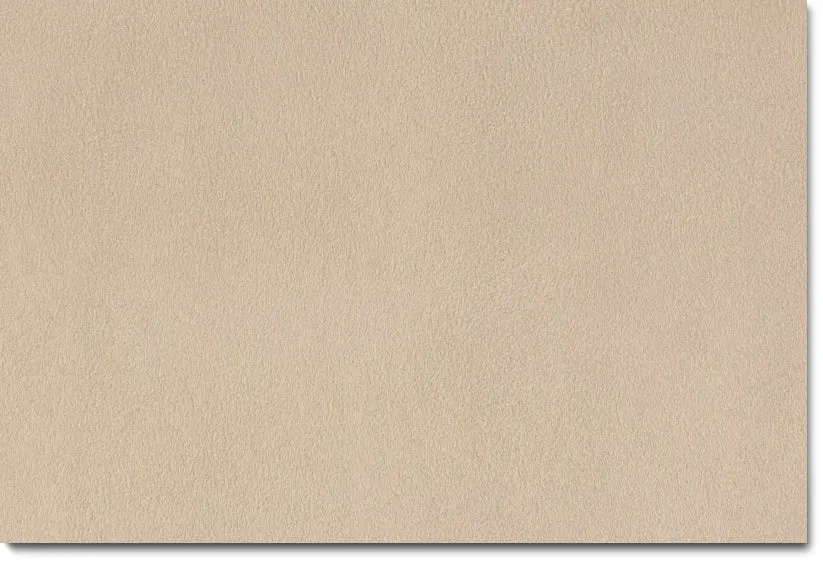 Collier Sofa and Chair Set - Beige