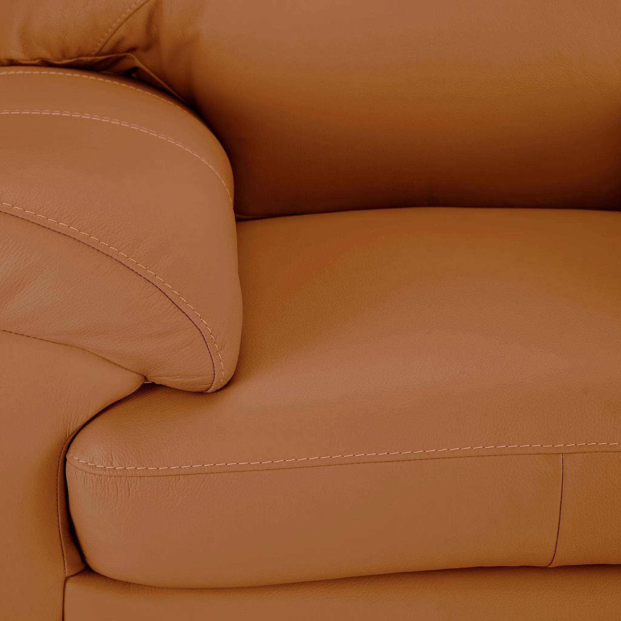 Raphael Leather Sofa and Chair Set - Saddle